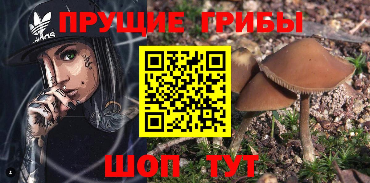 Галлюциногенные грибы GOLDEN TEACHER Верхний Уфалей